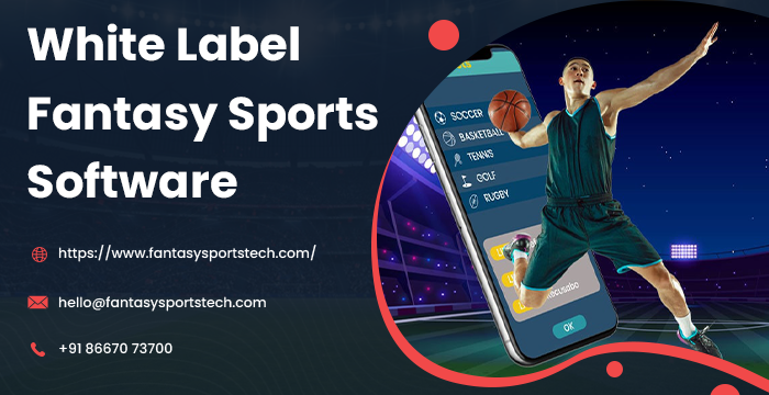 White Label Fantasy Sports Software Development Company
